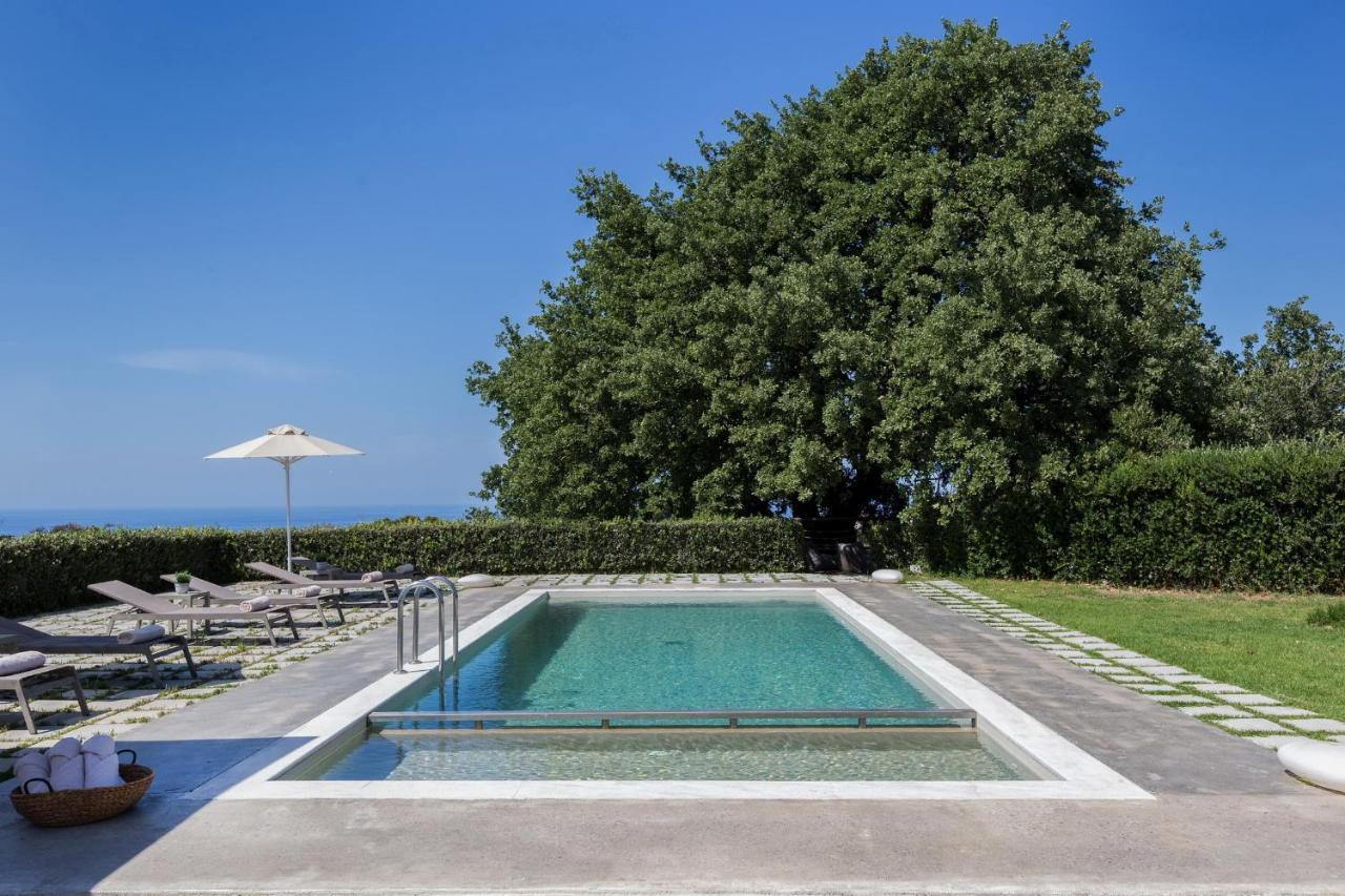 Lux Villa Mia With Heated Pool, 2Km To Beach & Childrens Area! Mikro Metochi Exteriör bild